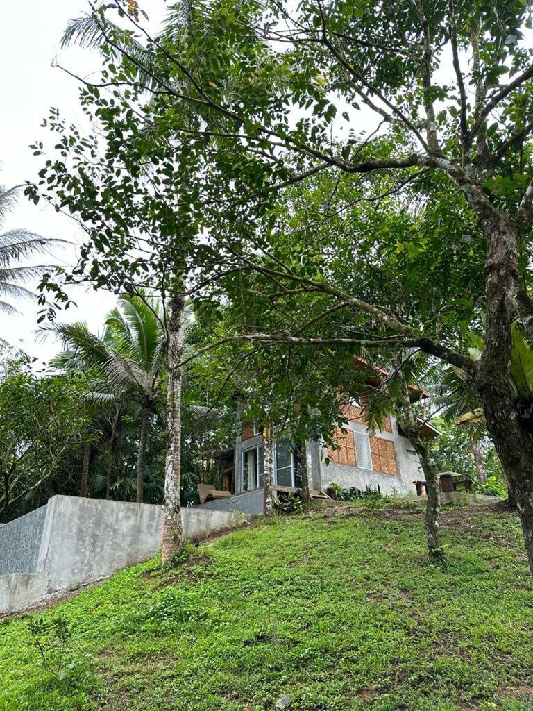 Elnora'S Farm Hotel Lucban Exterior photo